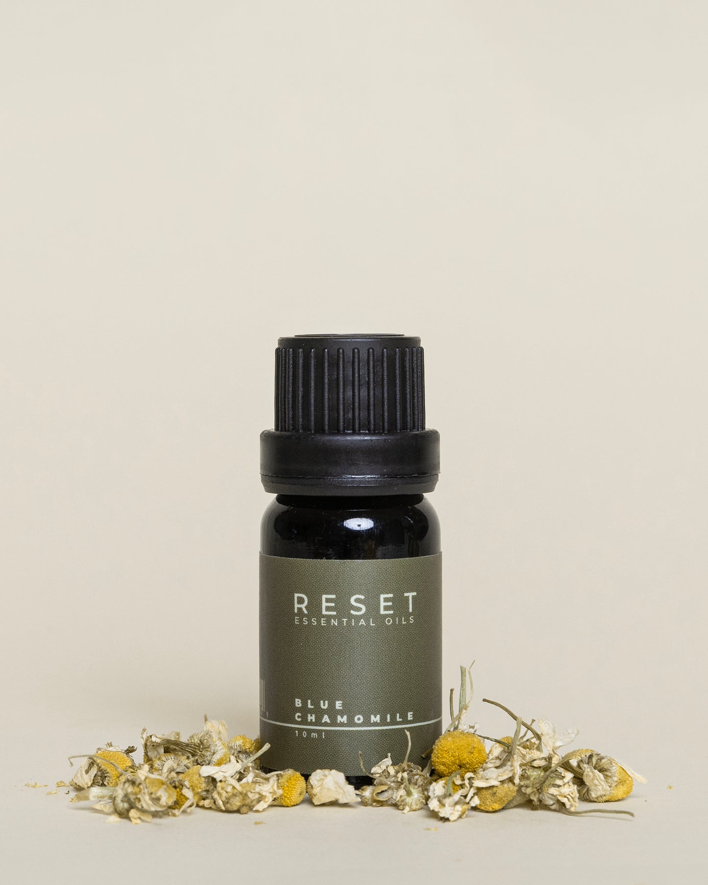 BLUE CHAMOMILE