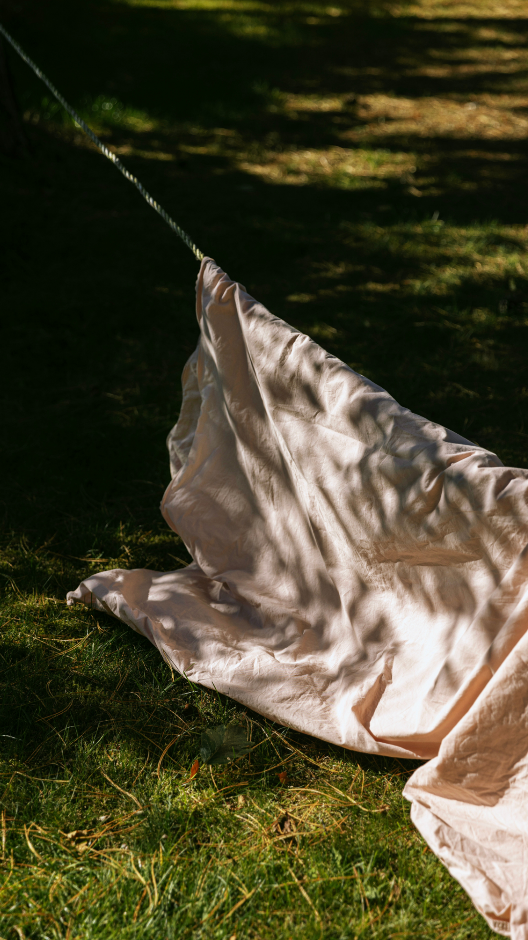 Sådan kan du bruge dine æteriske olier i hjemmet