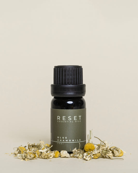 BLUE CHAMOMILE